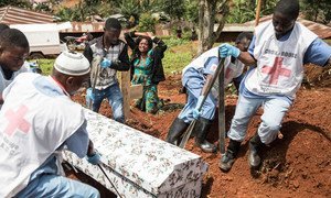 As part of the response to the outbreak of Ebola, the Red Cross has been working with the World Health Organization (WHO) and the Ministry of Health of the Democratic Republic of the Congo (DRC) ensure safe burials to help stop the spread of the deadly disease. (August 2019)