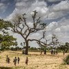 Up to 65 per cent of productive land is degraded, while desertification affects 45 per cent of Africa’s land area.