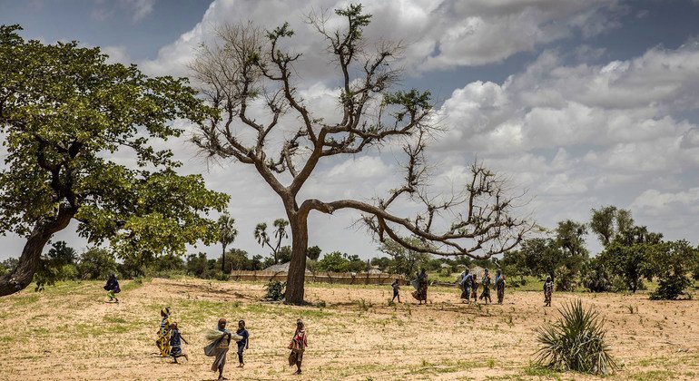 Jusqu’à 65% des terres productives sont dégradées, tandis que la désertification touche 45% des terres en Afrique. 