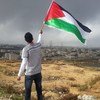 一位年轻人挥舞着巴勒斯坦的旗帜。