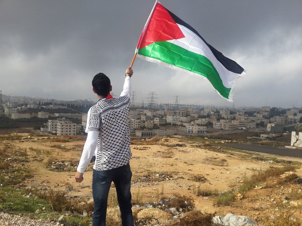 Une jeune homme agitant le drapeau palestinien