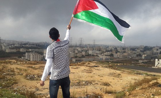 Young antheral   waves emblem  of Palestine.