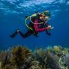 An ocean scientist conducts research while diving in American Samoa.