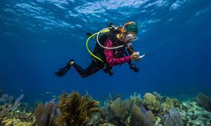 अमेरिकन समोआ में एक महासागर विज्ञानी शोध कार्य में व्यस्त है.