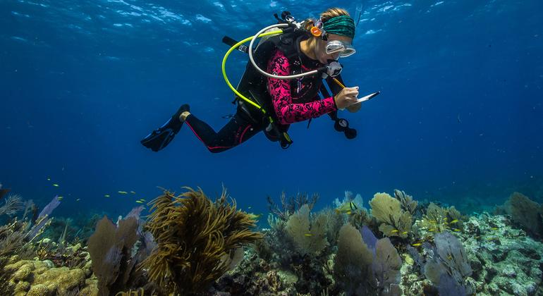Sürdürülebilir okyanuslar için gerekli olan bilimsel bilgi, BM Okyanus Konferansı’na kulak veriyor |

 Nguncel.com