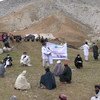 अफ़ग़ानिस्तान में कोविड-19 के कारण लागू तालाबन्दी में 15 लाख ख़ानाबदोश लोग भुखमरी और अन्य मुश्किलों का सामना कर रहे हैं.