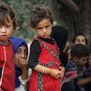 在逃离伊德利卜的敌对行动后，孩子们在土耳其边境附近的阿克拉巴特村的一个临时营地的树下休息。(2019年6月)