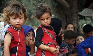 Children rest beneath a tree in a makeshift camp in Aqrabat village, near the Turkish border, after fleeing hostilities in Idlib. (June 2019)