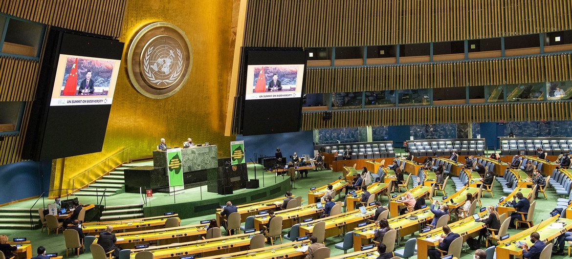 President of the People's Republic of China, Xi Jinping, addresses the UN Summit on Biodiversity.