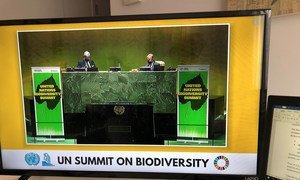 Le Président de l’Assemblée générale des Nations Unies, Volkan Bozkir, et le Secrétaire général de l’ONU, António Guterres, au sommet sur la biodiversité.