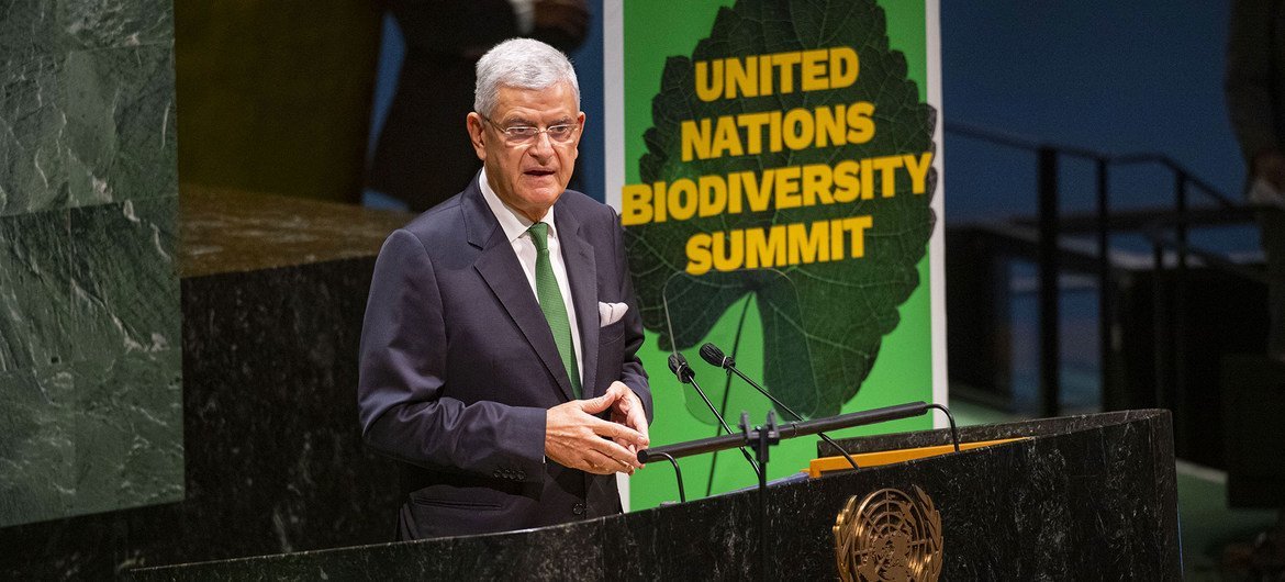 यूएन महासभा अध्यक्ष (पीजीए) वोल्कान बोज़किर जैव विविधता पर यूएन सम्मेलन को सम्बोधित करते हुए.