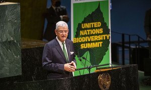 Volkan Bozkir, President of the UN General Assembly, addresses the UN Summit on Biodiversity.