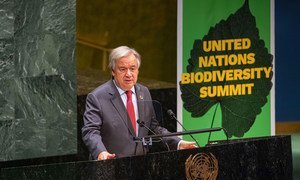 United Nations Secretary-General António Guterres addresses the UN Summit on Biodiversity.