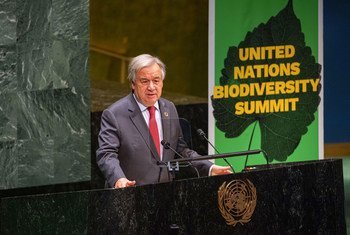 United Nations Secretary-General António Guterres addresses the UN Summit on Biodiversity.