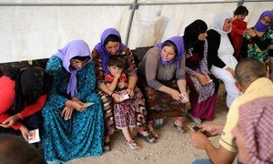  De nombreuses familles yézidies ont fui leurs maisons et se sont réfugiées dans le camp de Bajet Kandala pour personnes déplacées dans le nord de l'Iraq. (archives)