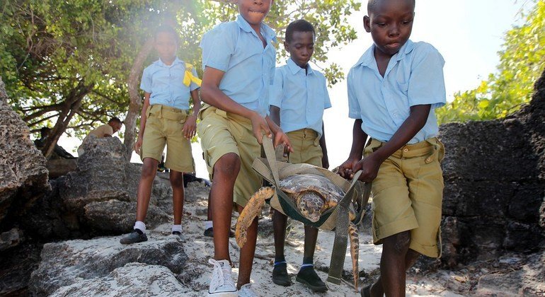 Children releasing a sea turtle in the ocean, as part of a conservation and education programme, in Watamu, Kenya (file). 