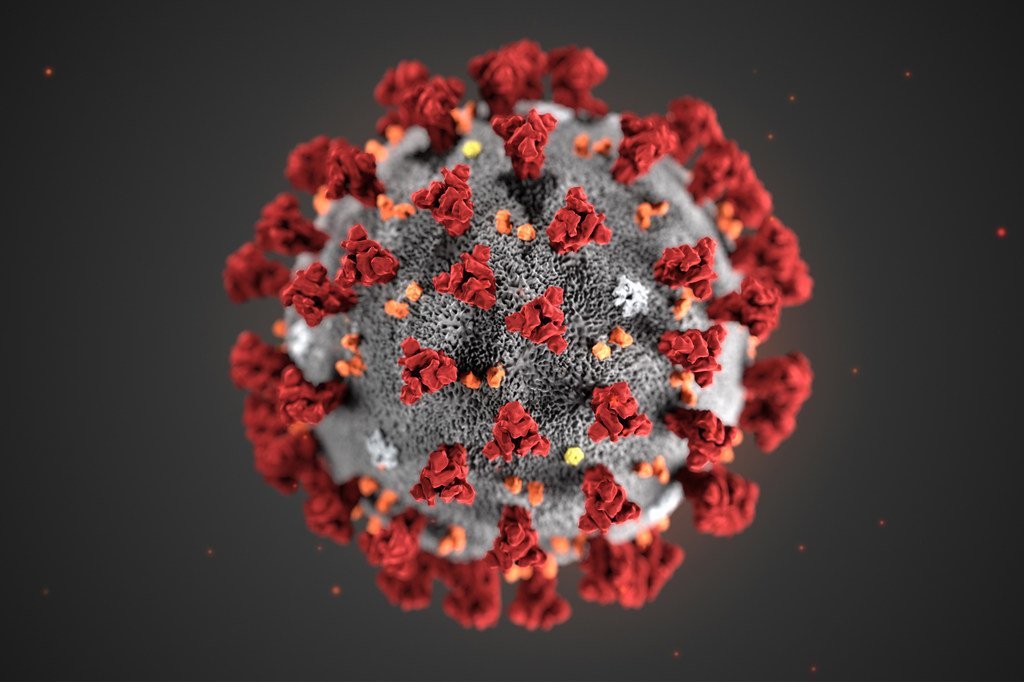 Une illustration numérique du coronavirus montre l'aspect en forme de couronne du virus.