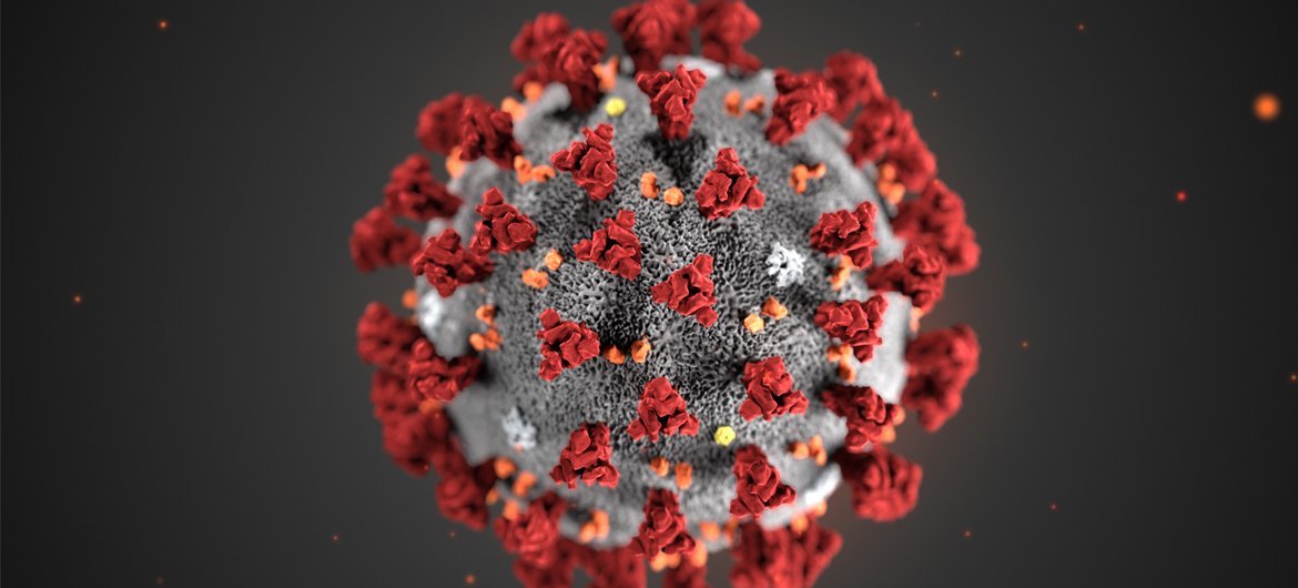 A digital illustration of the coronavirus shows its crown-like appearance. 