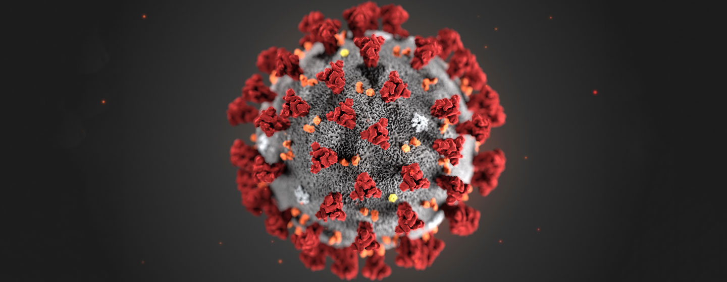 A digital illustration of the coronavirus shows the crown-like appearance of the virus.   