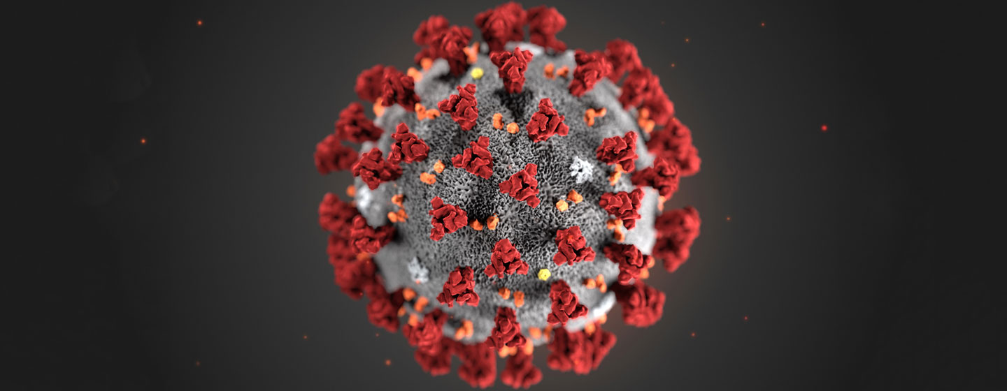 Imagen digital del coronavirus que muestra la forma de corona que le da su nombre.