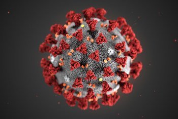  Uma ilustração digital do coronavírus mostra a aparência do vírus em forma de coroa.