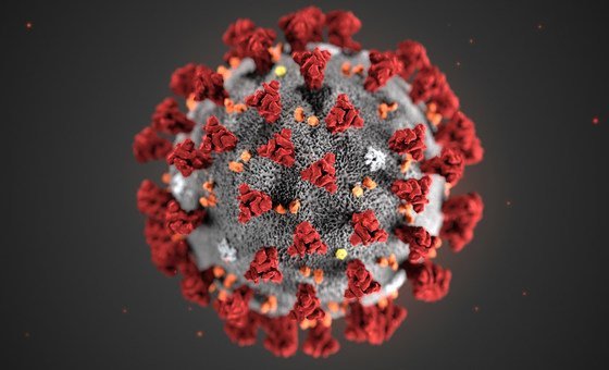 A digital illustration of the coronavirus shows the crown-like appearance of the virus.   