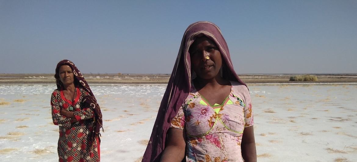 The multidisciplinary program will facilitate the training of salt pan workers from the Rann of Kutch in solar technology to help them make the transition from traditional energy sources to renewable and clean energy and new livelihood opportunities. 