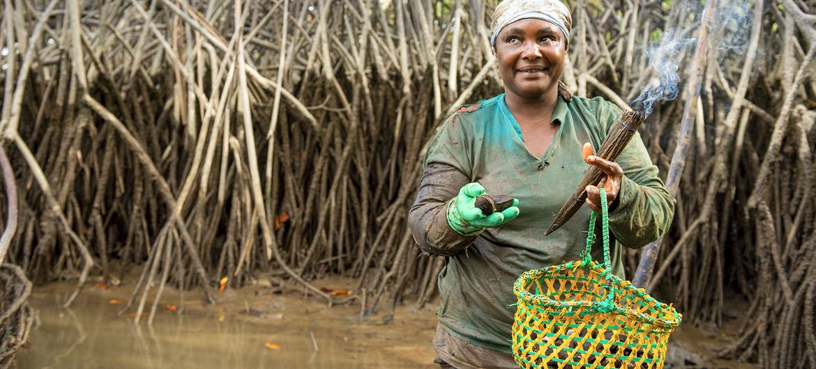 Mangroves serve as a protective ecosystem for the community of Punta de Miguel near Ecuador’s border with Colombia.