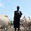 苏丹的一个牧民和她的牛群。