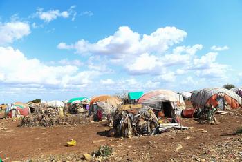 索马里拜多阿的流离失所者营地。