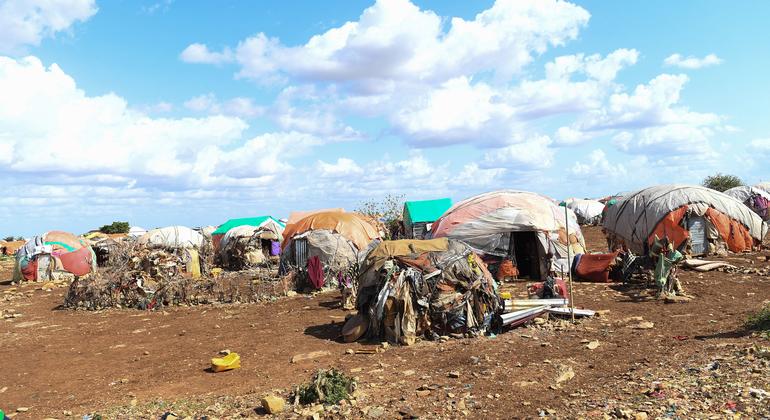 منظر لمخيم ADC للنازحين الذي يستضيف حاليا النازحين الجدد في بيدوا، الصومال.