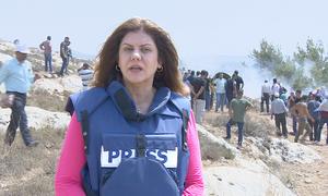 La journaliste palestinienne Shireen Abu Akleh.