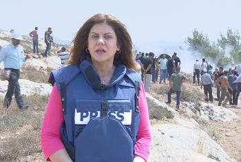 Ширин Абу Аклех, опытный тележурналист, знакомая многим в мире по репортажам с оккупированных палестинских территорий, была убита 11 мая при освещении столкновений в лагере беженцев на севере оккупированного Западного берега. 