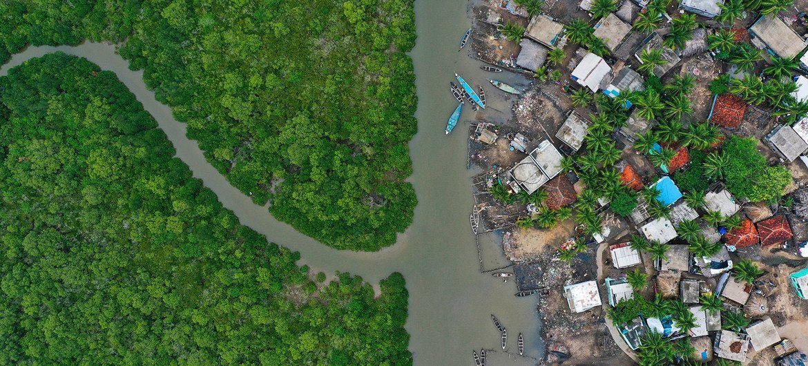 L'expansion urbaine contribue à la perte importante de mangroves en Indonésie.