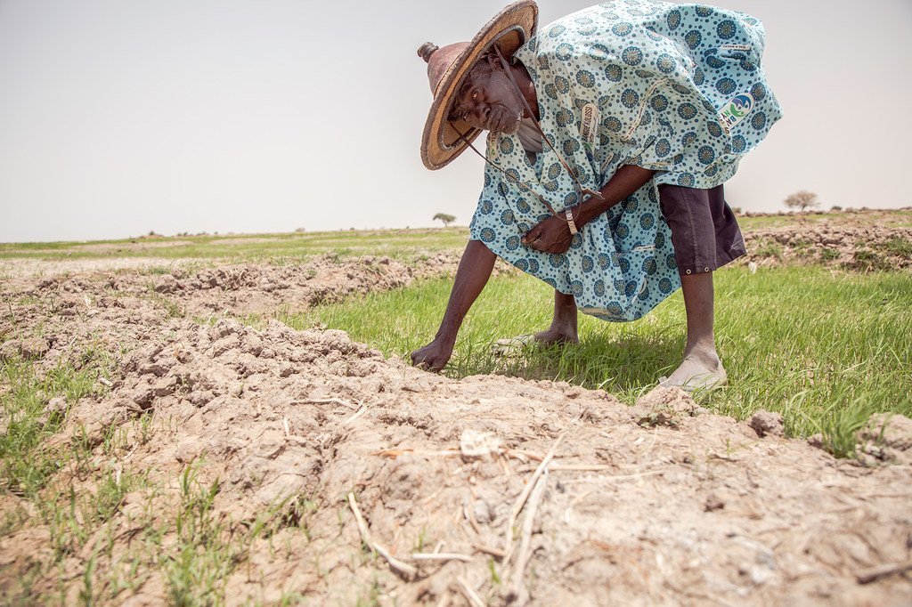 في مالي، استمرار الفيضانات والجفاف جعل الحياة صعبة بالنسبة للمزارعين.