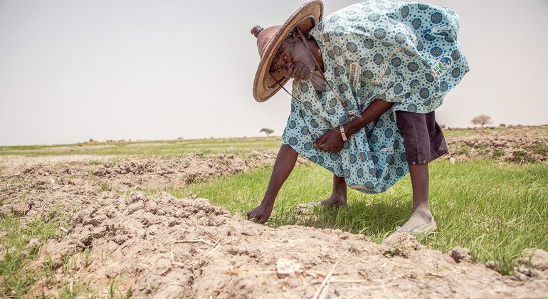  No Mali, enchentes e secas recorrentes dificultaram a vida dos agricultores.