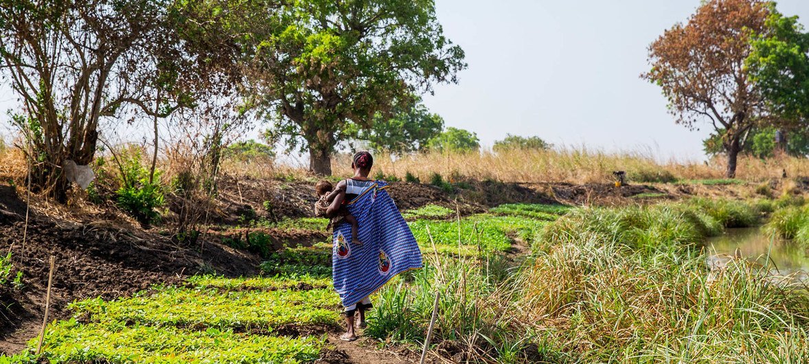 تلقت المجتمعات في أطراف عاصمة جنوب السودان، جوبا المساعدة في زراعة المحاصيل بغرض الاكتفاء الذاتي.