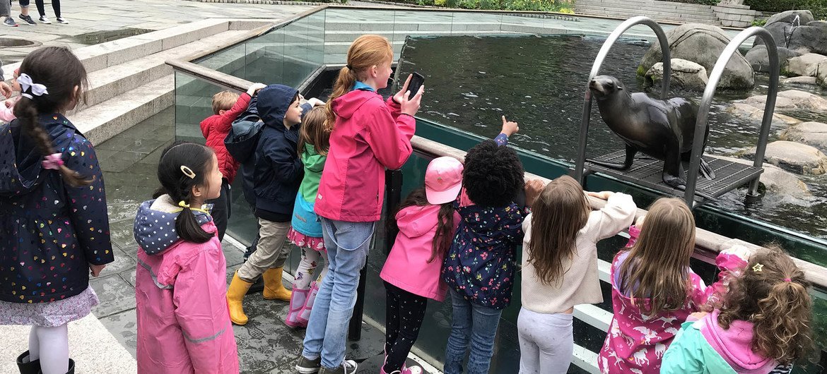 对于纽约的儿童而言，在2019冠状病毒病大流行期间，曾经在学校的组织下参观中央公园动物园这样的活动成为了甜蜜的回忆。 