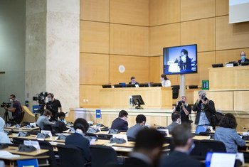 The 43rd session of the Human Rights Council. 15 June 2020. 