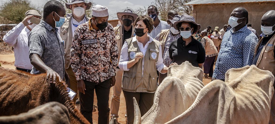 粮农组织副总干事贝丝·贝克多访问肯尼亚伊西奥洛的紧急牲畜营养补充剂分发中心。
