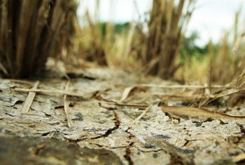 Over-cultivation and the effects of climate change have led to the deterioration of soils in the Philippines’ Bukidnon Province. (file)