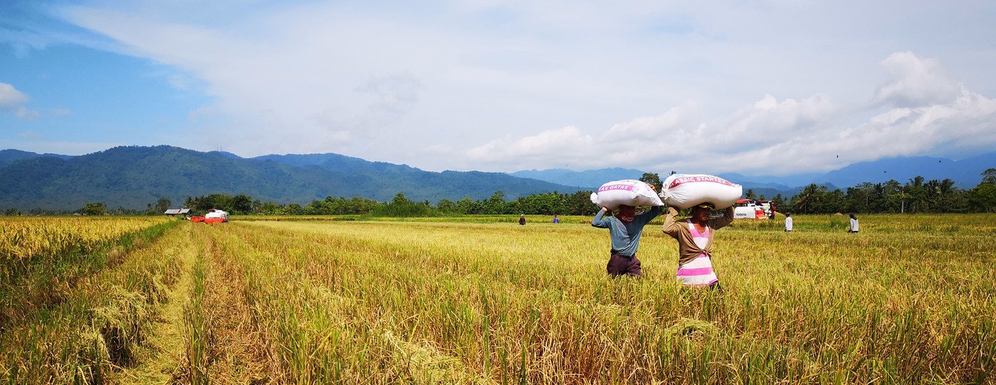 Des agriculteurs aux Philippines apprennent à s'adapter au changement climatique.