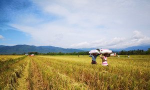 Des agriculteurs aux Philippines apprennent à s'adapter au changement climatique.
