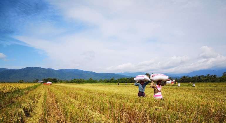 फ़िलीपीन्स के किसान जलवायु आपदा के प्रभावों से बचने के लिए खेतीबाड़ी के नए तरीक़े सीख रहे हैं. (अगस्त 2018)