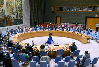 The UN Security Council meets on the situation in Ukraine, 27 February 2022.