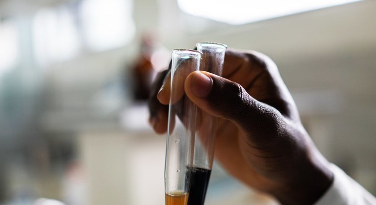 Un scientifique extrait des ingrédients de plantes dans un laboratoire au Ghana, où environ 70 % des patients utilisent des plantes médicinales.