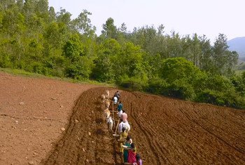 भारत के आंध्र प्रदेश राज्य में किसान रसायनिक खेती से प्राकृतिक खेती की तरफ़ तेज़ी से रुख़ कर रहे हैं जिसके अनेक फ़ायदे हैं.