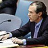 Michael Steiner addressing Security Council