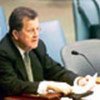 Intervention de David Stephen au Conseil de sécurité