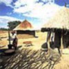 Farming under severe conditions: maize storage in Zambia.